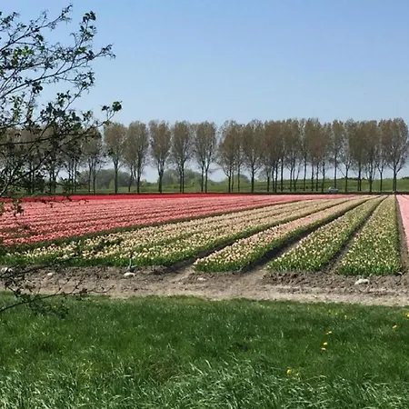 Rekerlanden 154 Üdülőpark Schoorldam